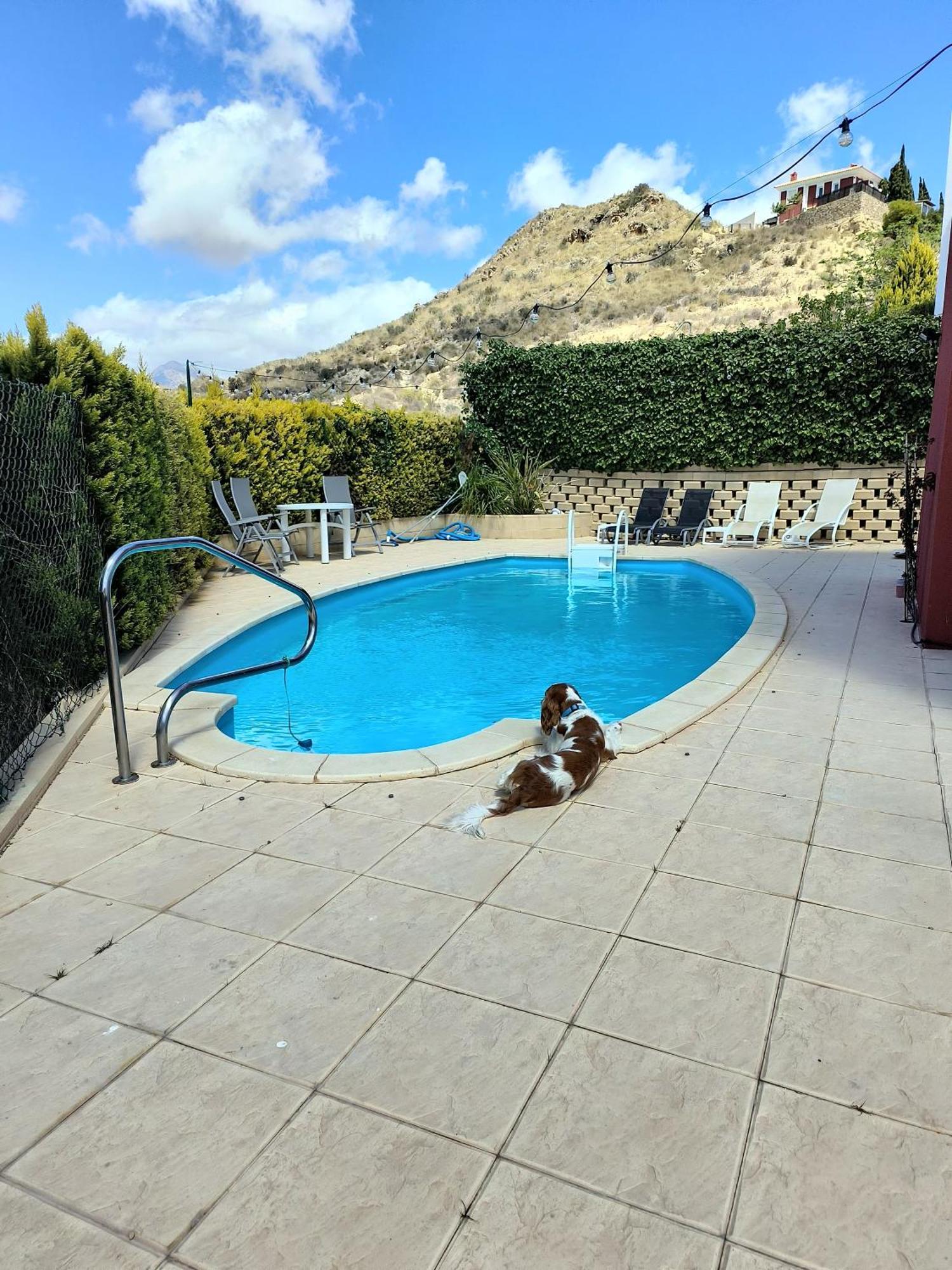 Villa Alicante - Bonalba Golf Mutxamel Exteriér fotografie
